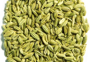 Fennel