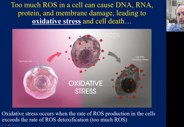 Too much ROS can cause DNA, RNA, protein & membrane damage leading to cell death
