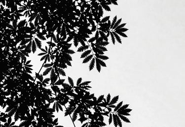 diseño de jardines del estudio ReGaLiZ