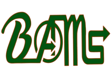 BAMS - Albinaa Festival 2026