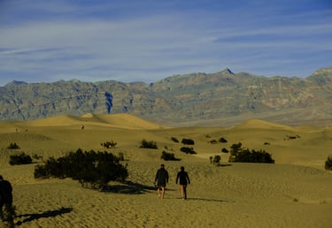 Mesquite Sand Dunes, Death Valley Activities, Things to do in Death Valley