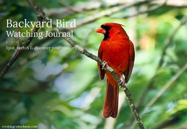 Red Northern Cardinal bird perched on a branch for a backyard bird watching journal cover.
