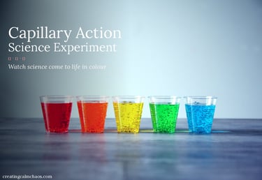 Capillary action science experiment showing five glasses filled with rainbow colored liquid.
