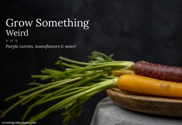 Heirloom purple and orange carrots with green stems on a wooden plate for gardening.
