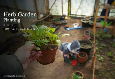 A hand holding a small potted plant during an indoor herb garden planting activity with a child.