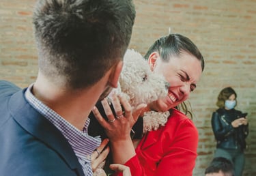 perro lame la cara de la novia fotgrafia de casamientos