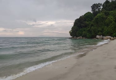 penang national park monkey beach