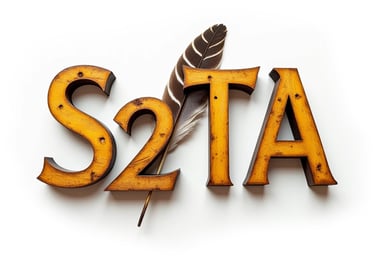 S2TA Logo displayed on the Disclaimer Page.