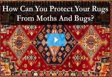 Video link to How to protect from moths and bugs