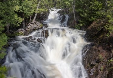 a waterfall in the woods with a tree in the background