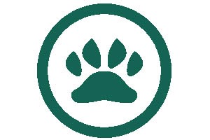 80040 guest house sono ammessi animali