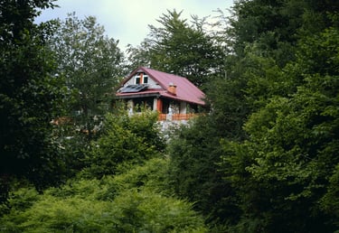 ein Haus mit einem roten Dach umgeben mit Wald
