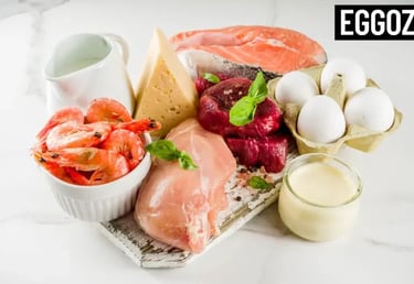 Assortment of high protein foods including raw chicken, beef, salmon, shrimp, eggs, and cheese.