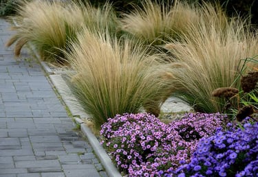 Massifs de graminées et vivaces décoratives dans les espaces paysagers de la Résidence Santini