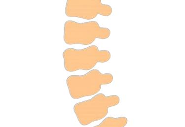 טיפולי פיזיותרפיה - אורתופדיה
