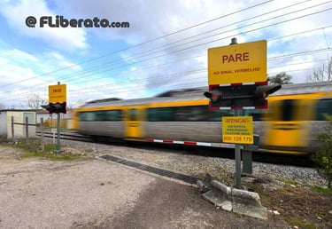 PN-K-223+990-LN-Vilela