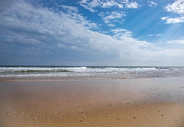 a person standing on a beach with a surfboard