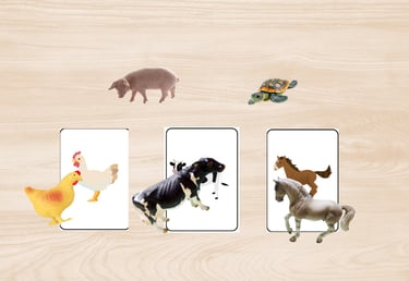 carte de nomanclature petits pas ludiques