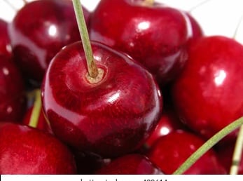 cerises