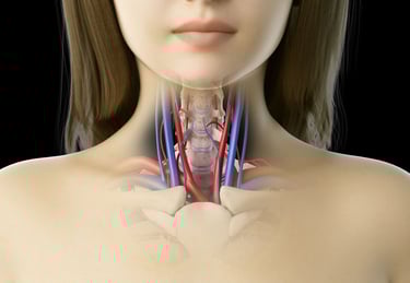 vascular ultrasound artery atherosclerosis stenosis disease stent carotid doppler stroke tia vision dizziness headache plaque