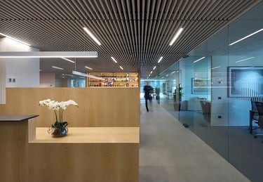 wpc Baffle Ceiling