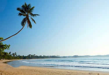 Dickwella beach