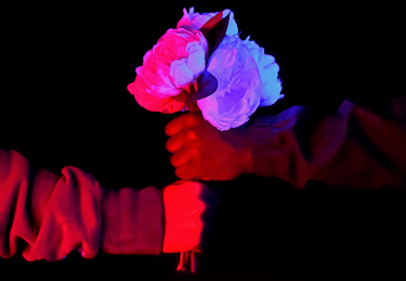 two people holding a flower in their hand