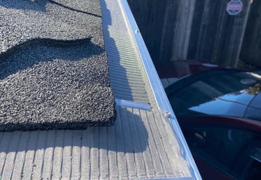 fresh installed roof guards