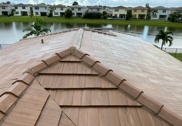 roof cleaning pompano beach fl 