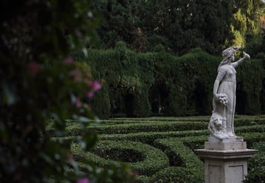 19 Clasificado Concurso Mensual Enero 2026