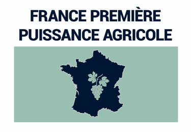 Pesticides lobbying france puissance agricole