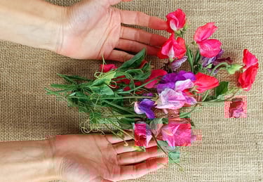 The Reiki Practitioner acts as a conduit for Reiki. Their hands, with flowers, portray Reiki energy.
