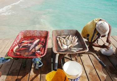 pescado puerto santa maria