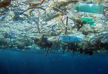 Floating marine debris and microplastics in the Pacific Ocean