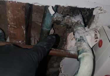 Mold damage