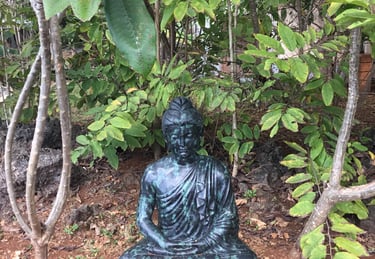 Sitting among the Callachuchi