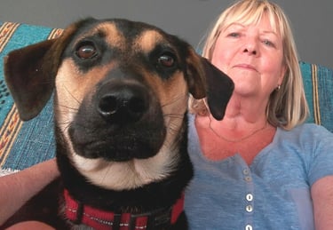 Benjji the street rescue from Cape Town