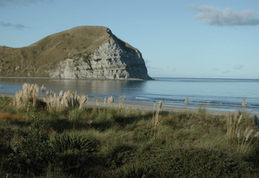 Mahia Beach in the morning, looking towards Mokotahi cliffs.