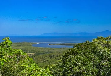 View from Daintree National Park, 2009