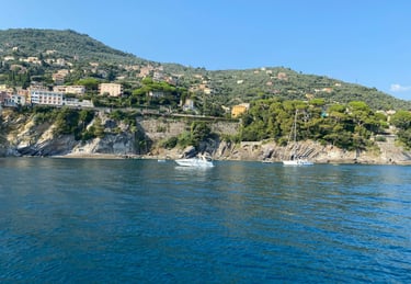 Private boat experience along the Ligurian Riviera