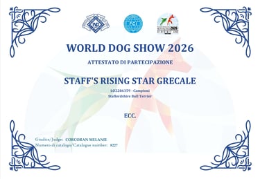 Attestato Eccellente WDS 2026 Barbie Staff's Rising Star Grecale Grecalestaffs