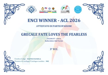 Attestato 3° Eccellente Enci Winner Diva Grecale Fate Loves The Fearless Grecalestaffs