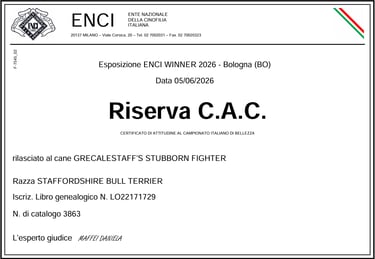 Certificato Riserva CAC ENCI Winner 2026 per Grecalestaffs Stubborn Fighter Jin