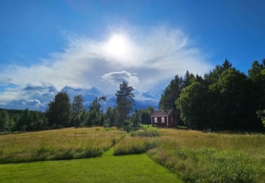 a house with a large field and a house in the background