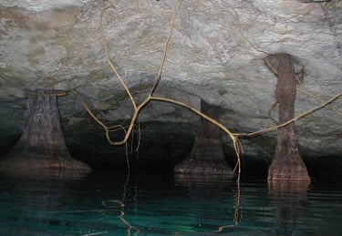 mexico chac mool diving cenote roots