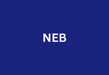 a blue and white logo with the word neb