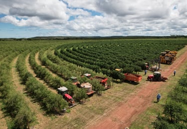 Ubajara farm, Brazil