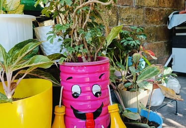 baby planter