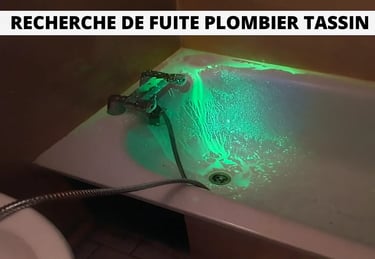 Dégats des eaux Entreprise de recherche de fuite d eau agree assurance plombier Tassin la demie lune