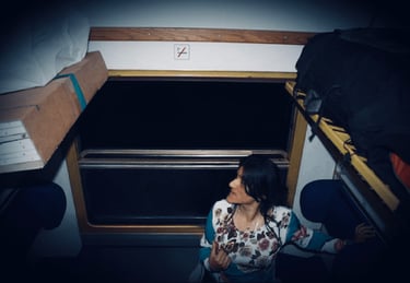 zainab abdulkarim art,scam,smuggling people, italy, crotone,false art exhibition,skien,oslo,norge